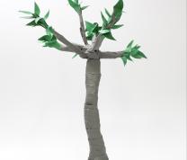 Climate Action: Earth Day Craft: Create Your Own Tree